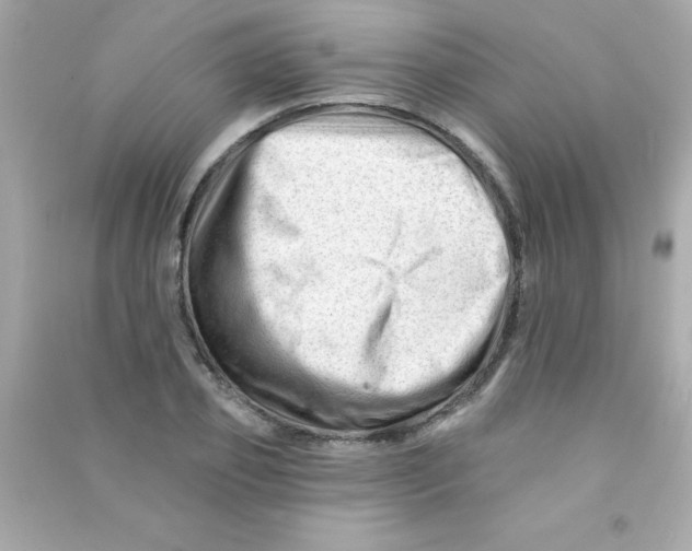 X0000090480933200708102153