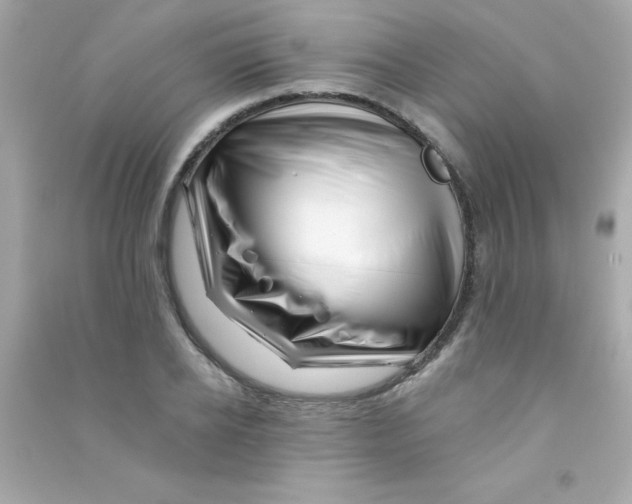 X0000090480934200708102153