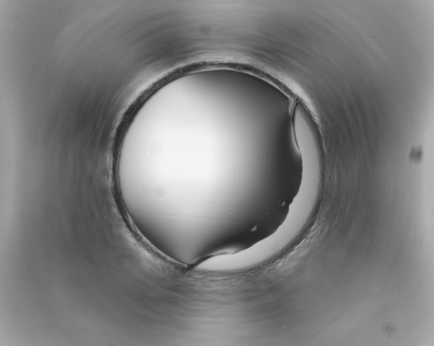 X0000090480935200708102153