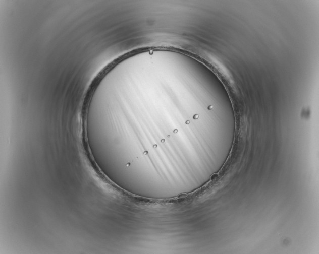 X0000090480936200708102153