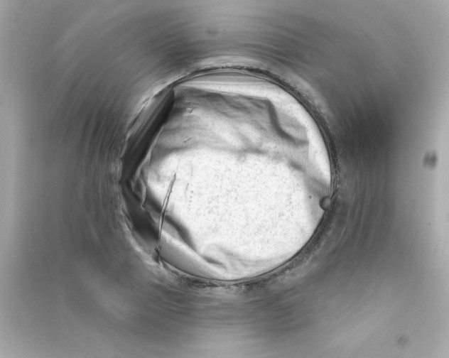 X0000090480937200708102153
