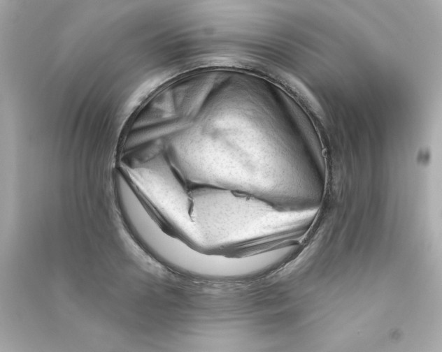 X0000090480938200708102153