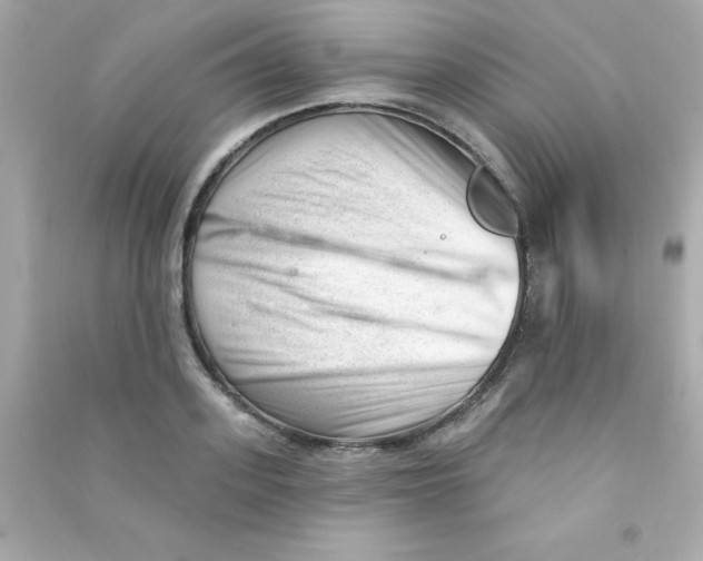 X0000090480939200708102153