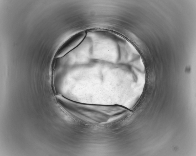 X0000090480940200708102153