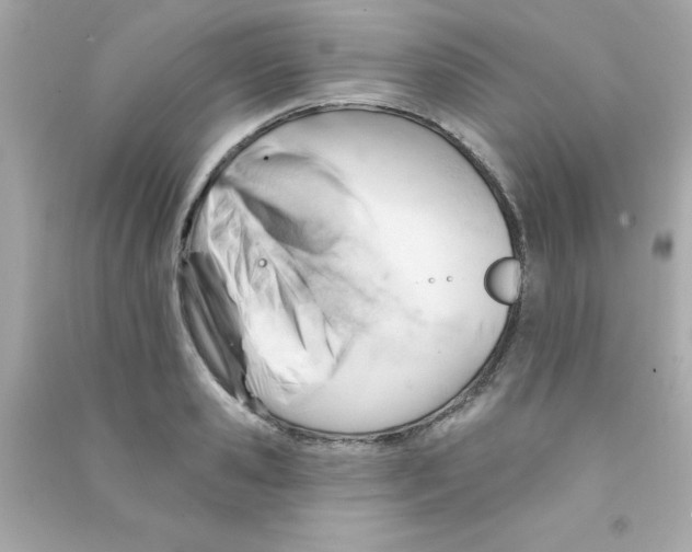 X0000090480941200708102153