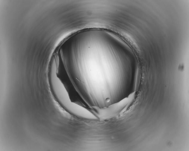 X0000090480942200708102153