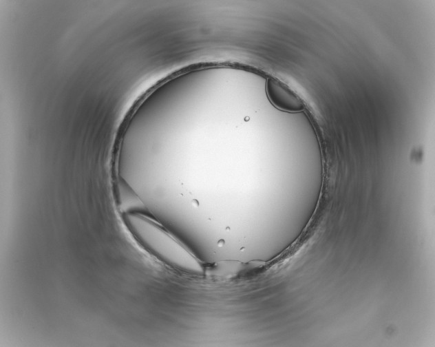 X0000090480943200708102153