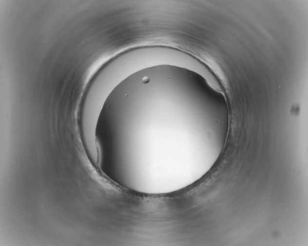 X0000090480944200708102153