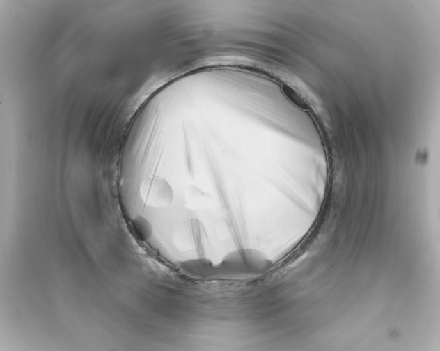 X0000090480945200708102153
