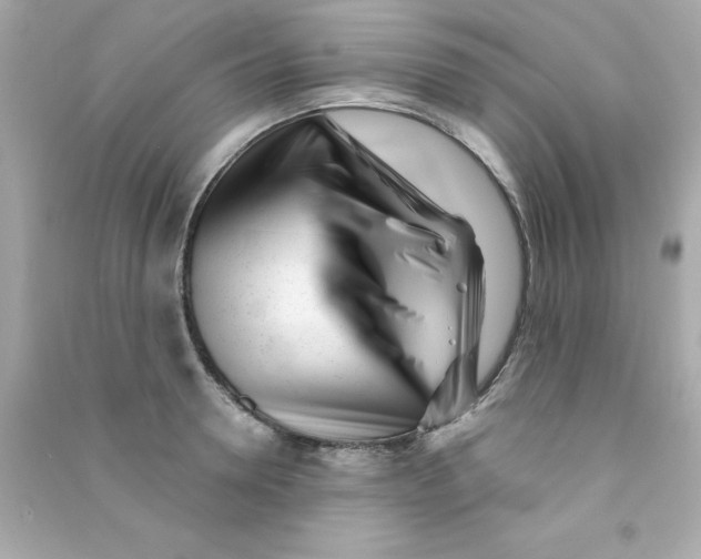 X0000090480946200708102153