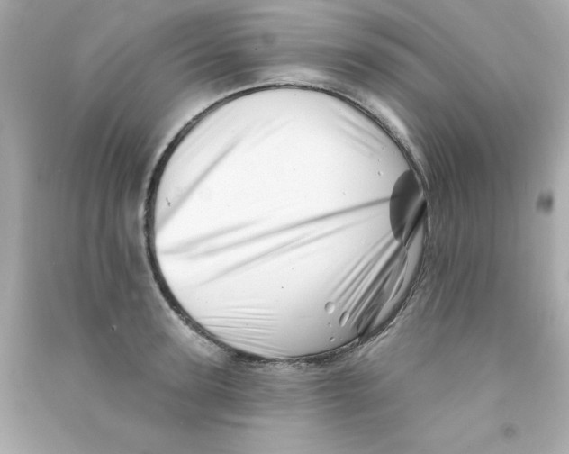 X0000090480947200708102153