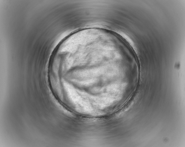 X0000090480949200708102154