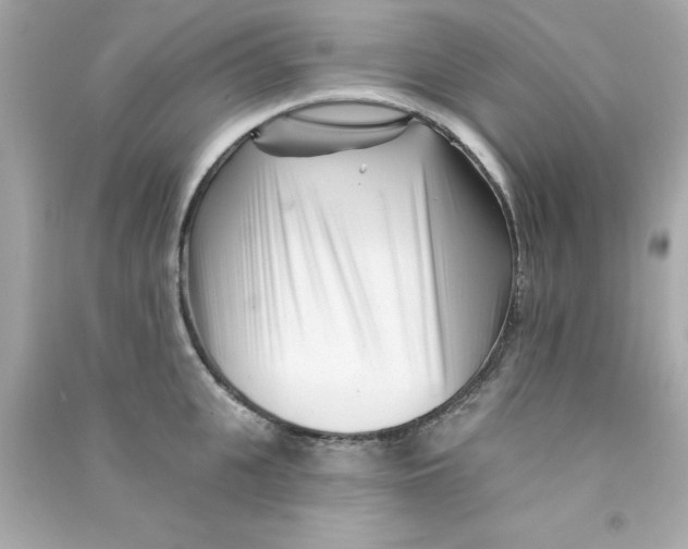 X0000090480951200708102154