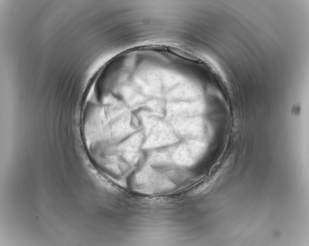 X0000090480952200708102154
