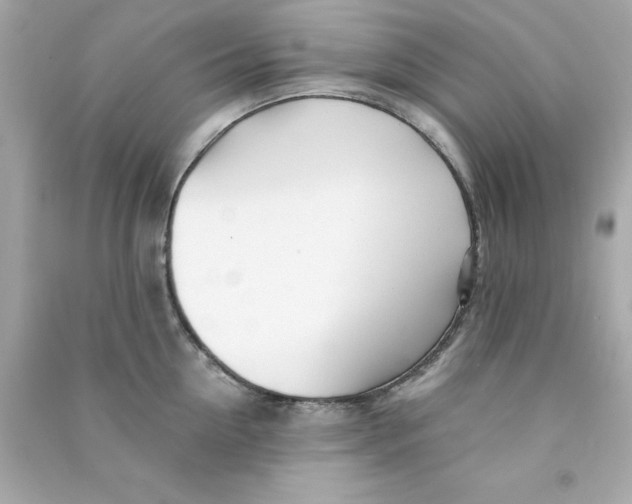 X0000090480954200708102154