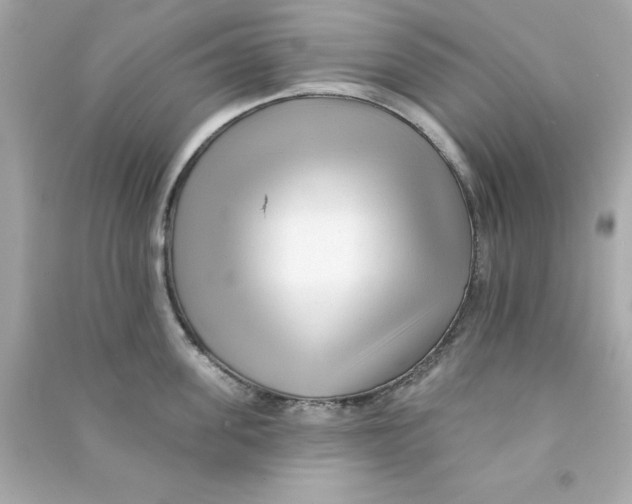 X0000090480955200708102154