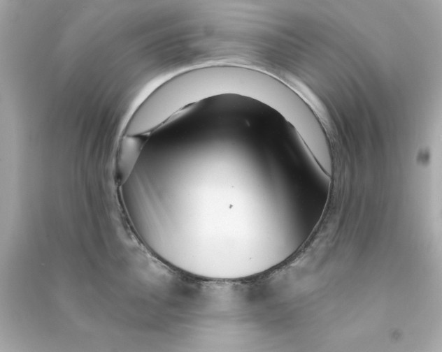 X0000090480956200708102154