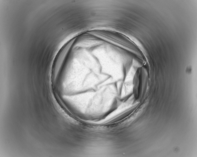 X0000090480957200708102154