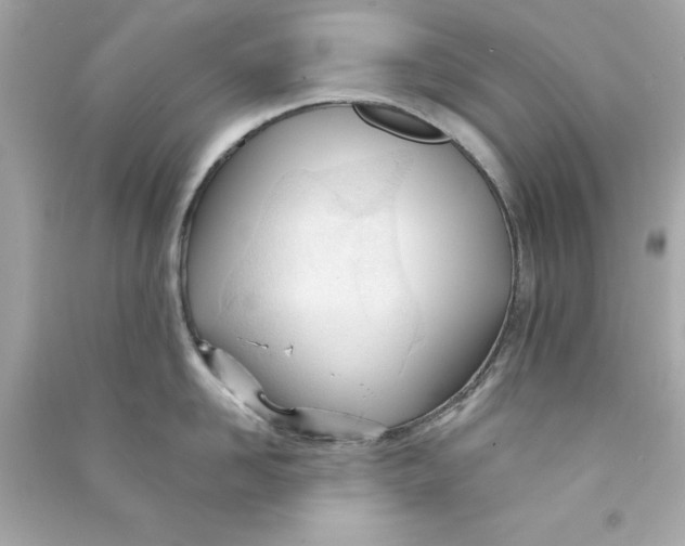 X0000090480958200708102154