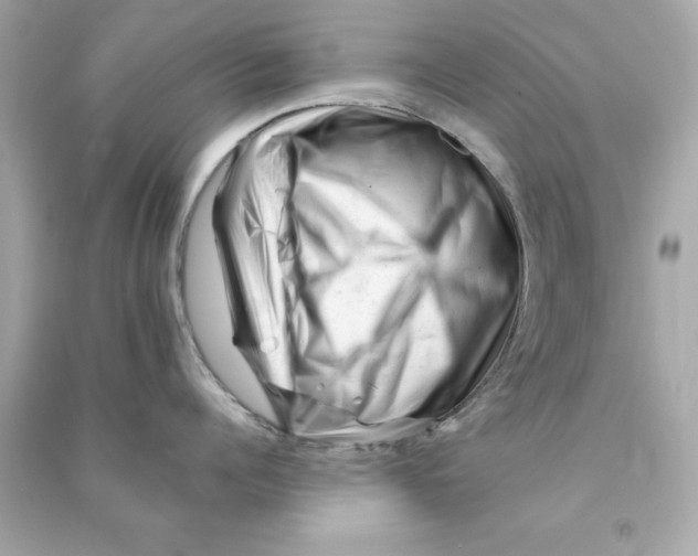 X0000090480960200708102154