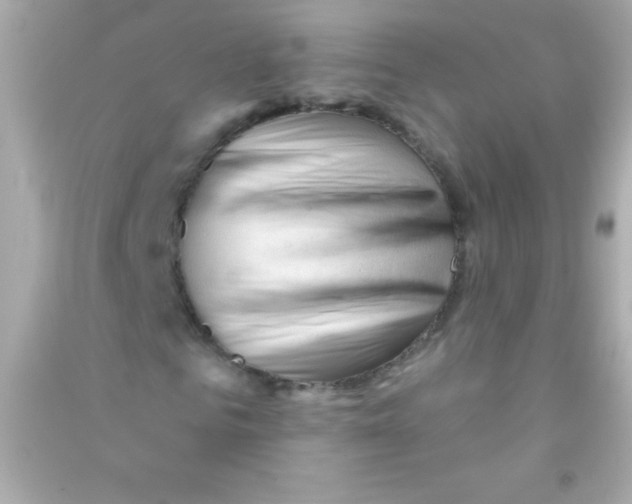 X0000090480961200708102153