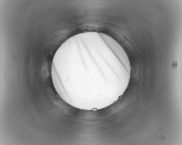 X0000090480962200708102153
