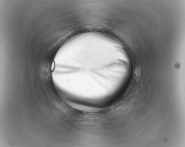 X0000090480963200708102153