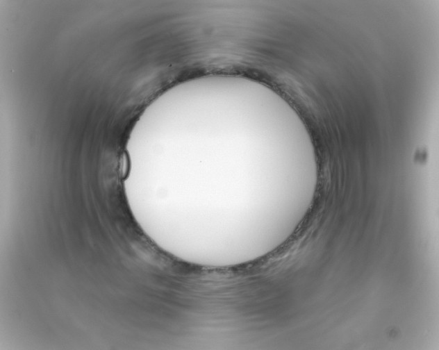 X0000090480964200708102153