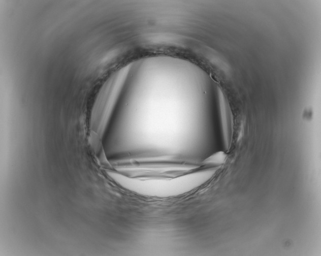 X0000090480965200708102153