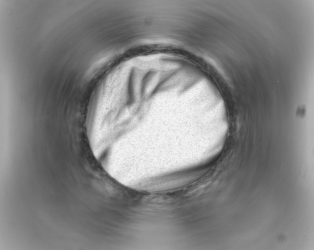 X0000090480967200708102153