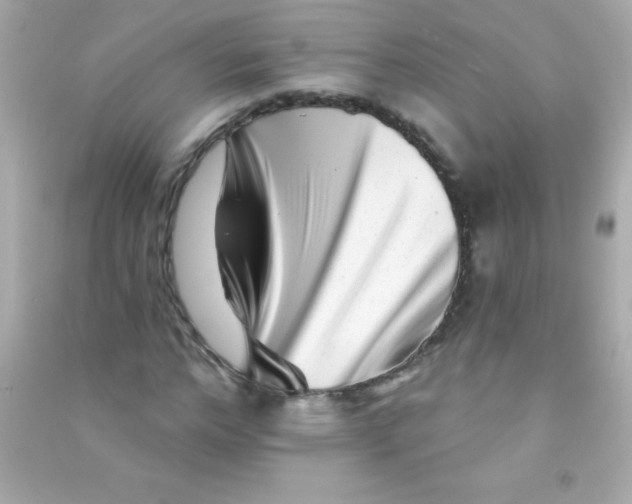 X0000090480968200708102153