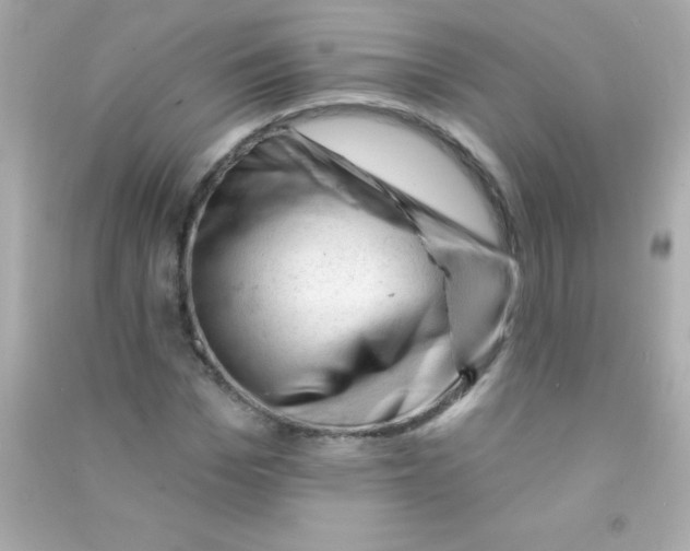 X0000090480969200708102153