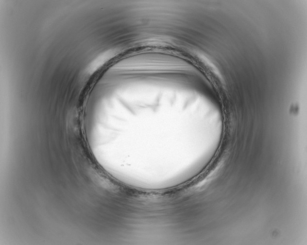 X0000090480970200708102153