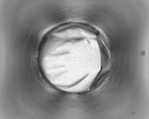 X0000090480971200708102153