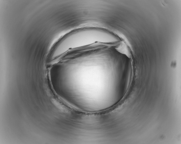 X0000090480973200708102153