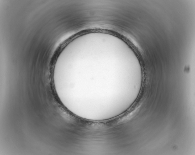 X0000090480974200708102153
