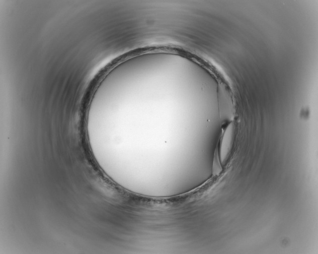 X0000090480975200708102153