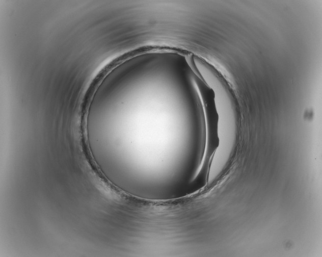 X0000090480976200708102153