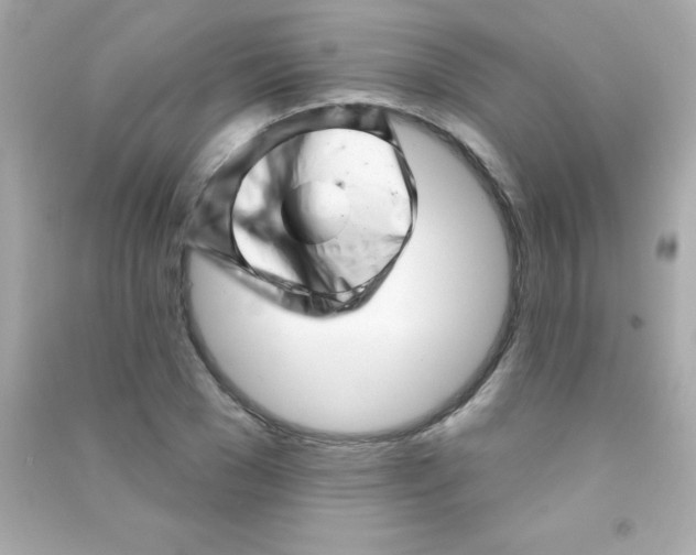 X0000090480977200708102153