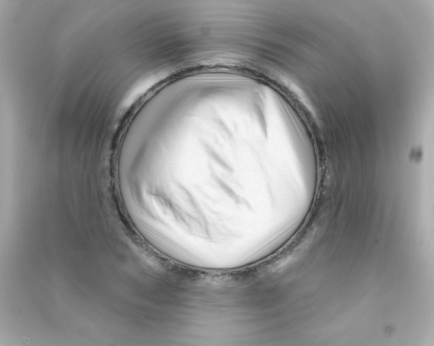 X0000090480978200708102153