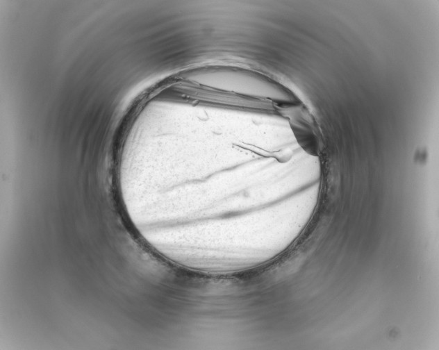 X0000090480979200708102153