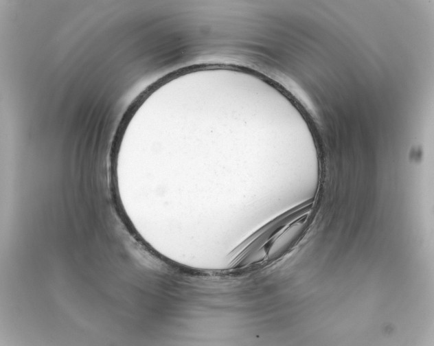 X0000090480980200708102153