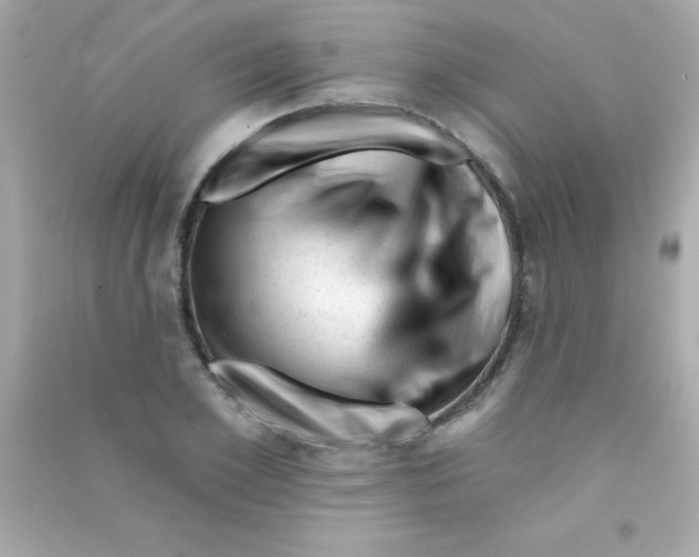 X0000090480981200708102153