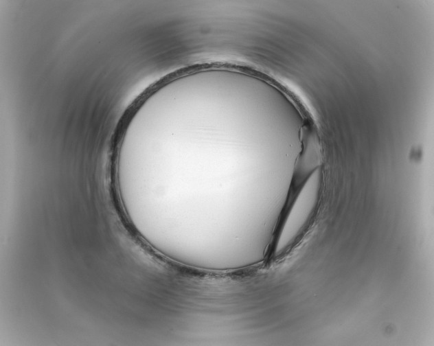 X0000090480983200708102153