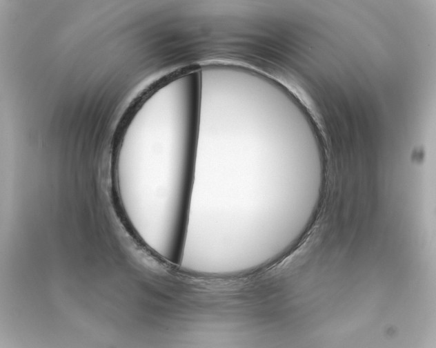 X0000090480984200708102153