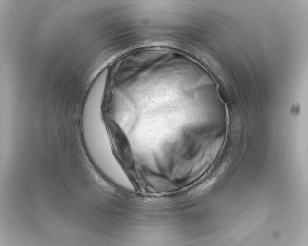 X0000090480985200708102153