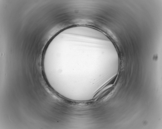 X0000090480986200708102153