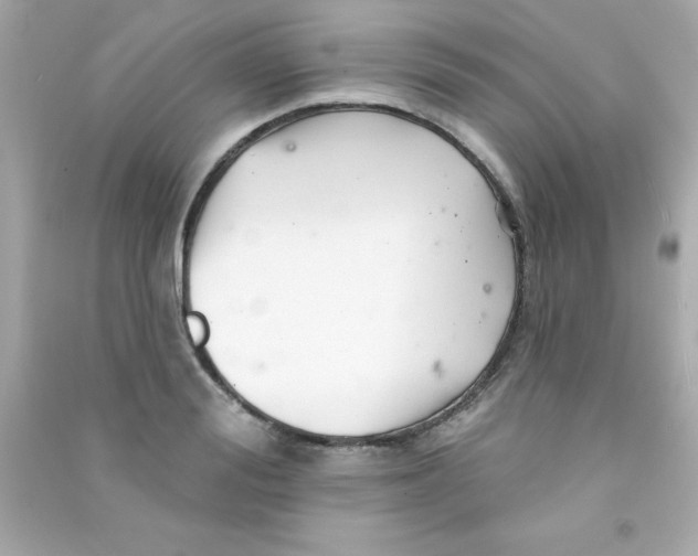 X0000090480988200708102152