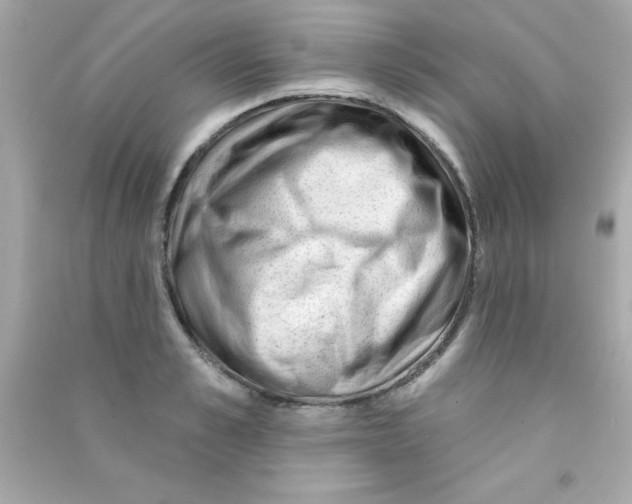 X0000090480989200708102152