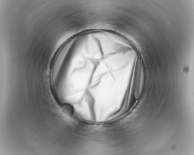 X0000090480990200708102152